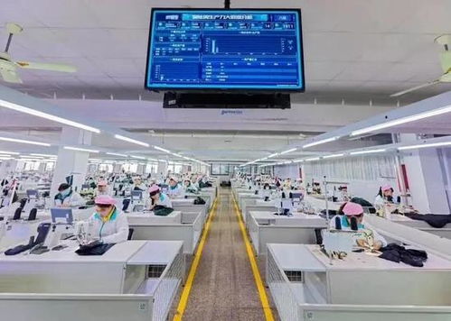 平湖跻身全省“两化”融合20强，数字文化创意内容应用服务崭露头角